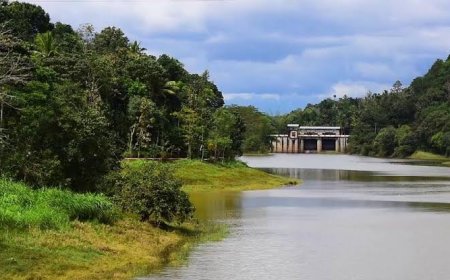 ടൂറിസം, കാർഷികം, ആരോഗ്യം മേഖലകൾക്ക് മുൻഗണന; ഇരട്ടയാർ പഞ്ചായത്തിൽ കരട് ബജറ്റ് അവതരിപ്പിച്ചു