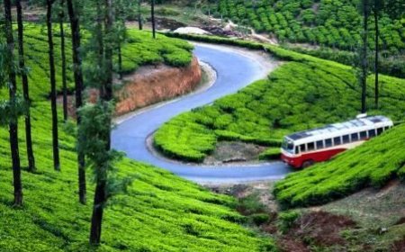 പീരുമേട് നില നിർത്താൻ  സിപിഐ..നിർണ്ണായക യോഗങ്ങൾ നാളെ കട്ടപ്പനയിൽ