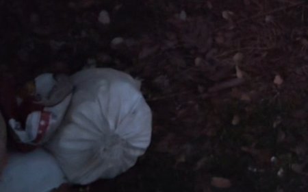 മാലിന്യ കൂമ്പാരത്തിൽ നിന്നും കഞ്ചാവ് പൊതികൾ കണ്ടെത്തി