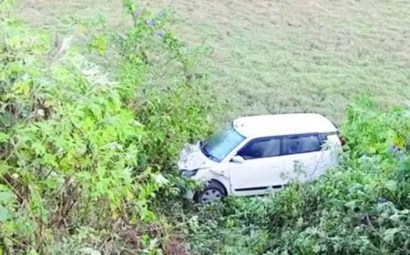 കല്ലാർ കവലയ്ക്ക് സമീപം കാർ കൊക്കയിലേക്ക് മറിഞ്ഞു; രണ്ട് പേർ അത്ഭുതകരമായി രക്ഷപ്പെട്ടു