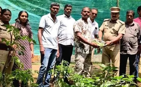 വനസംരക്ഷണ ചുമതലകൾക്ക് ഒപ്പം കൃഷിയിലും മികവ് തെളിയിച്ച് അയ്യപ്പൻകോവിൽ റേഞ്ച് ഓഫീസിലെ വനപാലകർ