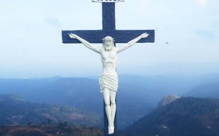 എഴുകുംവയൽ കുരിശുമലയിലേക്ക് ഇടുക്കി രൂപത കാൽനട തീർഥാടനം