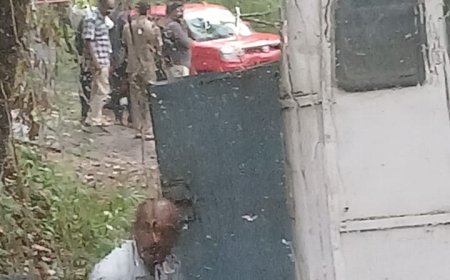 പൈനാവിന് സമീപം മരം വഴിയിലേക്ക് വീണു ; വാഹന ഗതാഗതം തടസ്സപ്പെട്ടിരിക്കുന്നു