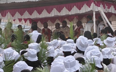 വിശുദ്ധവാരത്തിന് തുടക്കം: ഇന്ന് ഓശാന ഞായർ