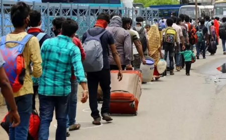 തെരഞ്ഞെടുപ്പ് : അന്യസംസ്ഥാന തൊഴിലാളികളുടെ മടങ്ങിപ്പോക്ക് ഹൈറേഞ്ചില്‍ തൊഴില്‍ പ്രതിസന്ധി രൂക്ഷമാക്കുന്നു