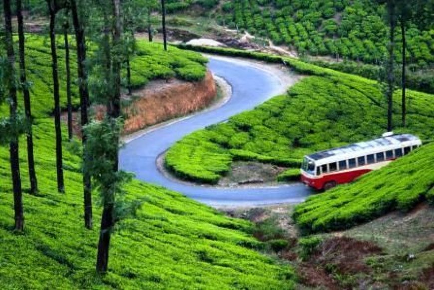 പീരുമേട് നില നിർത്താൻ  സിപിഐ..നിർണ്ണായക യോഗങ്ങൾ നാളെ കട്ടപ്പനയിൽ