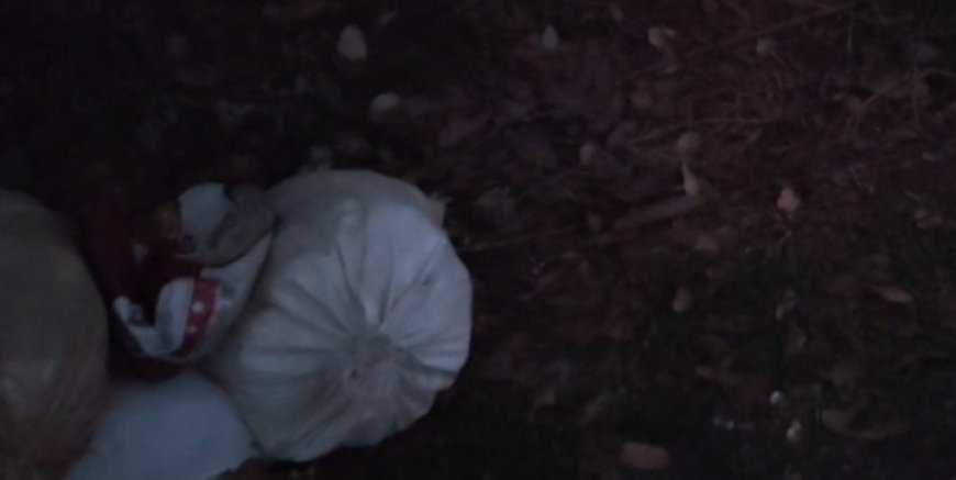 മാലിന്യ കൂമ്പാരത്തിൽ നിന്നും കഞ്ചാവ് പൊതികൾ കണ്ടെത്തി