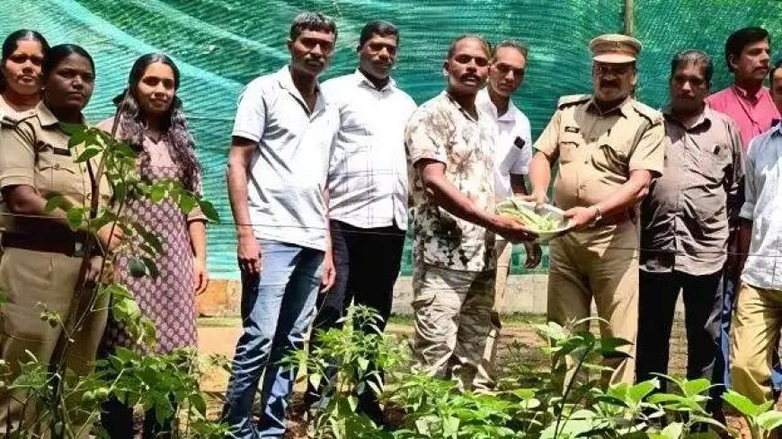 വനസംരക്ഷണ ചുമതലകൾക്ക് ഒപ്പം കൃഷിയിലും മികവ് തെളിയിച്ച് അയ്യപ്പൻകോവിൽ റേഞ്ച് ഓഫീസിലെ വനപാലകർ