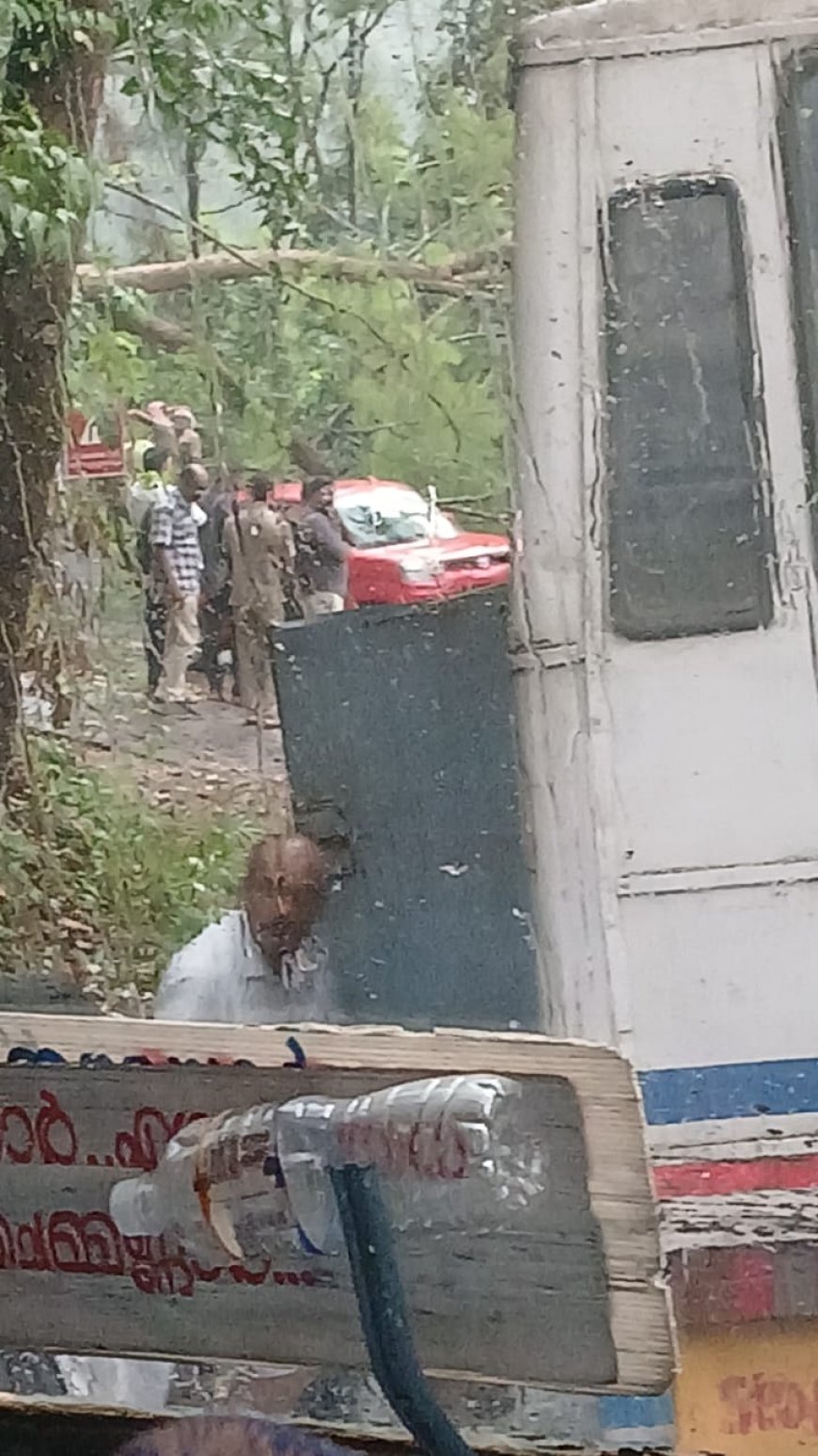 പൈനാവിന് സമീപം മരം വഴിയിലേക്ക് വീണു ; വാഹന ഗതാഗതം തടസ്സപ്പെട്ടിരിക്കുന്നു