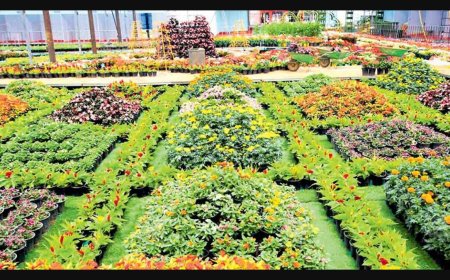 18ാ മത് തേക്കടി പുഷ്പ മേളയ്ക്ക് ഇന്ന് തുടക്കം