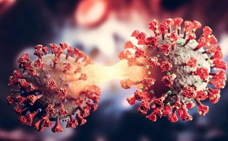 ‘സികാഡ’ കോവിഡിൻ്റെ പുതിയ വകഭേദം