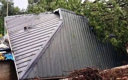 വേനൽ മഴ : വന്‍മരം വീണ് വീട് തകര്‍ന്നു