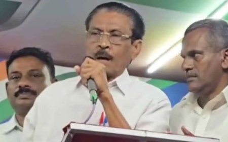 സ്ത്രീവിരുദ്ധ പരാമര്‍ശം : ഇടുക്കി ഡി.സി.സി പ്രസിഡന്റ് സി.പി. മാത്യുവിനെതിരെ കടുത്ത വിമര്‍ശനം