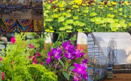 ഏലപ്പാറയിൽ ആഘോഷത്തിന്റെ നിറക്കാഴ്ചകൾ ഒരുങ്ങുന്നു. 13 വർഷത്തെ ഇടവേളയ്ക്ക് ശേഷം ‘ഏലപ്പാറ ഫെസ്റ്റ്’ ന് ഇന്ന് തുടക്കം കുറിക്കും.