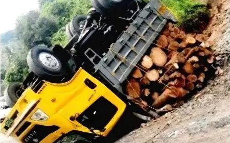 തടിലോറി തലകീഴായി മറിഞ്ഞ് അപകടം