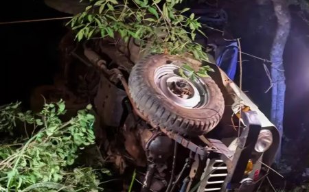 നാരകക്കാനം ജീപ്പ് അപകടം: രണ്ടുപേർ മരിച്ചു, മൂന്ന് പേരുടെ നില ഗുരുതരം