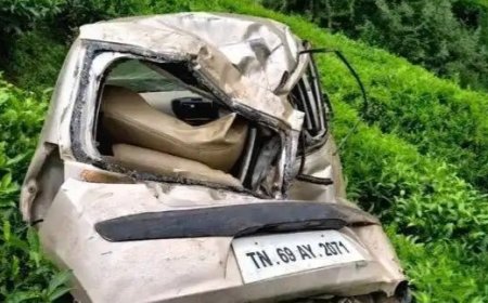 പെരിയകനാലിന് സമീപം കാർ അപകടം; രണ്ടുപേർക്ക് ഗുരുതര പരിക്ക്