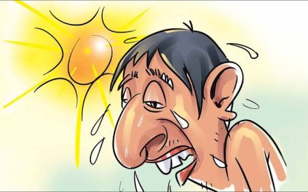 കനത്ത ചൂട്: സുരക്ഷാ മുൻകരുതലുകൾ കർശനമായി പാലിക്കണം — ജില്ലാ കളക്ടർ