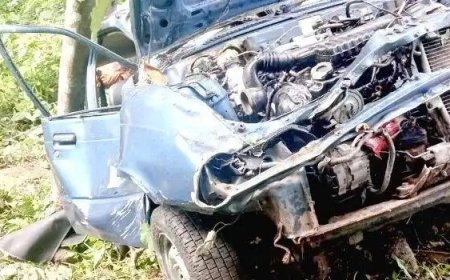 കൊല്ലം–ദിണ്ടുക്കൽ ദേശീയപാതയിൽ കാർ കൊക്കയിലേക്ക് മറിഞ്ഞ് രണ്ടു പേർക്ക് പരിക്ക്