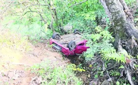 കാര്‍ കൊക്കയിലേക്ക് മറിഞ്ഞ് ദമ്പതികള്‍ക്ക് പരിക്ക്