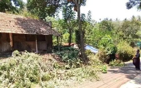 കാടുപിടിച്ച കെട്ടിടത്തില്‍ മൂര്‍ഖന്‍ പാമ്പ് : പഞ്ചായത്ത് അംഗത്തിൻ്റെ നേതൃത്വത്തിൽ ശുചീകരണ പ്രവര്‍ത്തനം