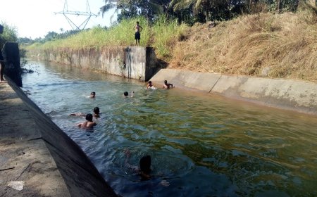 ഒഴുക്കിൽപ്പെട്ട യുവാക്കൾക്ക് രക്ഷകരായി അഗ്നിരക്ഷാസേന