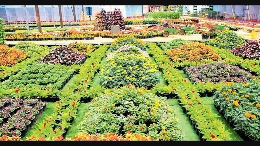 18ാ മത് തേക്കടി പുഷ്പ മേളയ്ക്ക് ഇന്ന് തുടക്കം