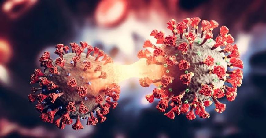 ‘സികാഡ’ കോവിഡിൻ്റെ പുതിയ വകഭേദം