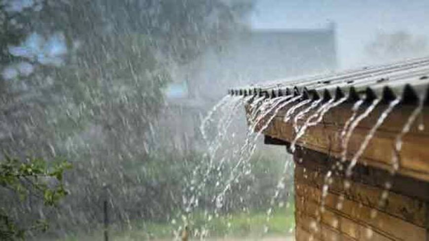 സംസ്ഥാനത്ത് ശക്തമായ മഴയ്ക്ക് സാധ്യത; വിവിധ ജില്ലകളിൽ യെല്ലോ അലർട്ട്