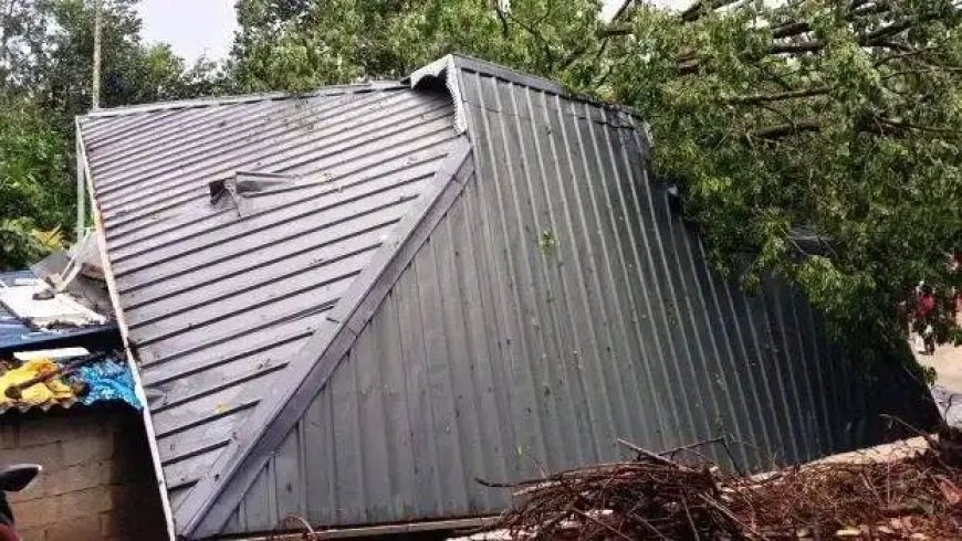 വേനൽ മഴ : വന്‍മരം വീണ് വീട് തകര്‍ന്നു