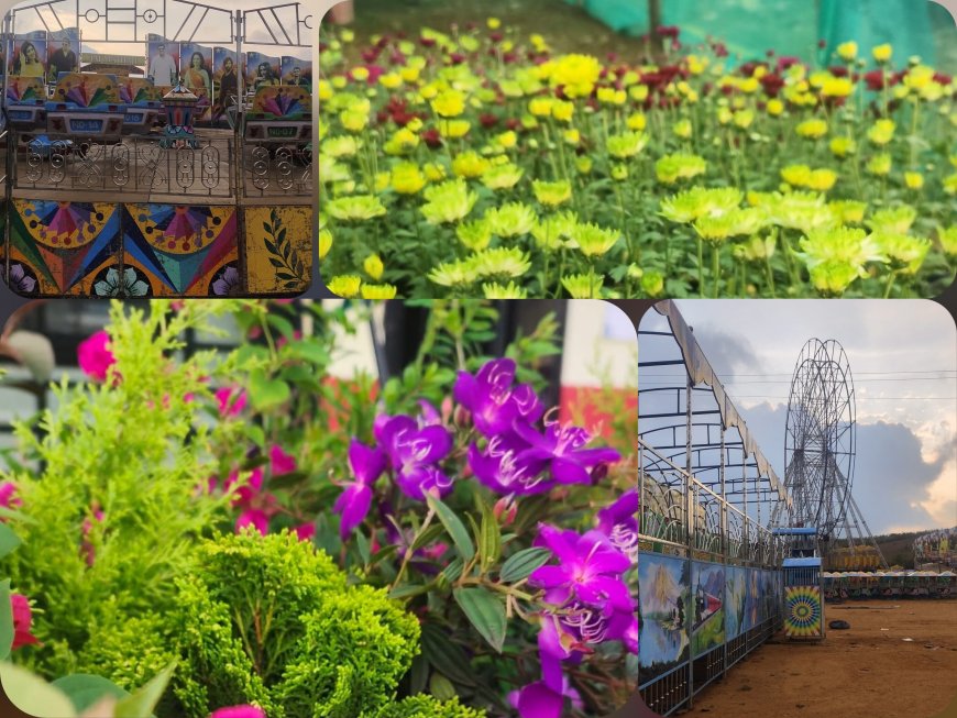 ഏലപ്പാറയിൽ ആഘോഷത്തിന്റെ നിറക്കാഴ്ചകൾ ഒരുങ്ങുന്നു. 13 വർഷത്തെ ഇടവേളയ്ക്ക് ശേഷം ‘ഏലപ്പാറ ഫെസ്റ്റ്’ ന് ഇന്ന് തുടക്കം കുറിക്കും.