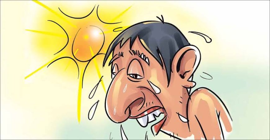 കനത്ത ചൂട്: സുരക്ഷാ മുൻകരുതലുകൾ കർശനമായി പാലിക്കണം — ജില്ലാ കളക്ടർ