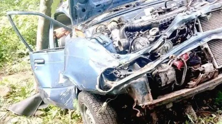 കൊല്ലം–ദിണ്ടുക്കൽ ദേശീയപാതയിൽ കാർ കൊക്കയിലേക്ക് മറിഞ്ഞ് രണ്ടു പേർക്ക് പരിക്ക്