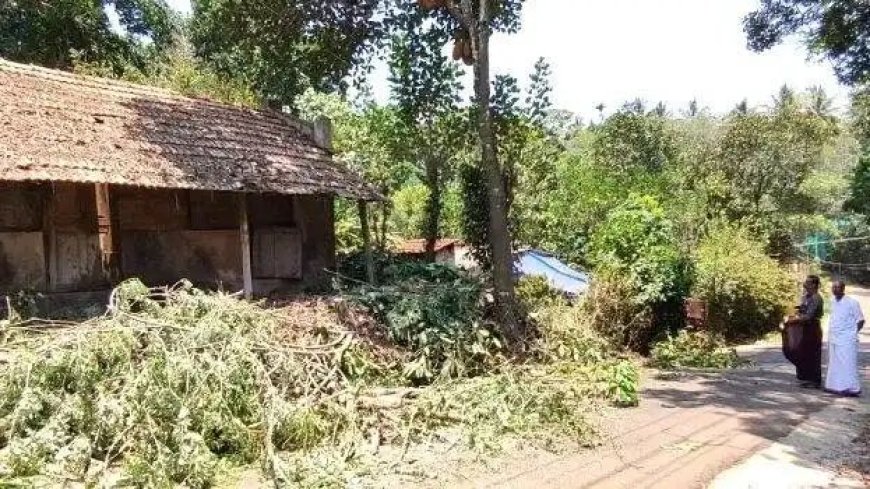 കാടുപിടിച്ച കെട്ടിടത്തില്‍ മൂര്‍ഖന്‍ പാമ്പ് : പഞ്ചായത്ത് അംഗത്തിൻ്റെ നേതൃത്വത്തിൽ ശുചീകരണ പ്രവര്‍ത്തനം