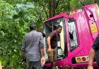 തട്ടേക്കണ്ണിക്ക് സമീപം ബസ് അപകടം; യാത്രക്കാർക്ക് പരിക്ക്