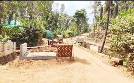ഇരട്ടയാർ-നാങ്ക്തൊട്ടി-വാഴവര റോഡ്‌ നിർമ്മാണം മന്ദഗതിയിൽ