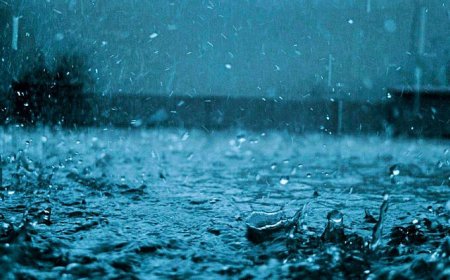 സംസ്ഥാനത്ത് ഇടിമിന്നലോടുകൂടിയ മഴ തുടരും; 7 ജില്ലകളിൽ ഇന്ന് യെല്ലോ അലർട്ട്