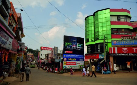 ചികിത്സാ സംവിധാനങ്ങളുടെ അപര്യാപ്തതയിൽ വീർപ്പുമുട്ടി ഹൈറേഞ്ച്..