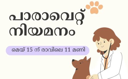 പാരാവെറ്റ് നിയമനം; അഭിമുഖം മെയ് 15ന്