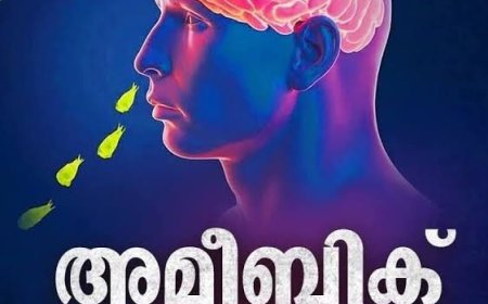 അമീബിക് മസ്തിഷ്ക ജ്വരം : ഇരട്ടയാറിൽ അതിഥി തൊഴിലാളികൾക്ക് മെഡിക്കൽ ക്യാമ്പും ബോധവത്കരണ ക്ലാസും