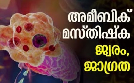 ഇരട്ടയാറിൽ അമീബിക് മസ്തിഷ്ക ജ്വരം റിപ്പോർട്ട് ചെയ്ത സാഹചര്യത്തിൽ ജാഗ്രത നിർദ്ദേശം നൽകി ആരോഗ്യവകുപ്പ്