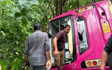 തട്ടേക്കണ്ണിക്ക് സമീപം ബസ് അപകടം; യാത്രക്കാർക്ക് പരിക്ക്