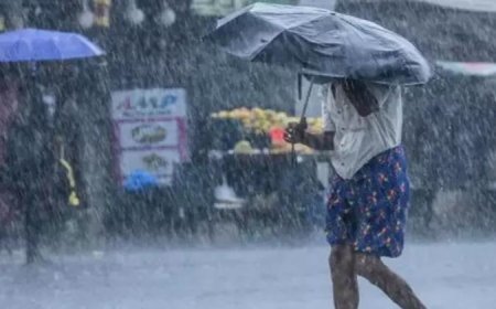 സംസ്ഥാനത്ത് ഇന്നും ശക്തമായ മഴയ്ക്ക് സാധ്യത; വിവിധ ജില്ലകളിൽ യെല്ലോ അലർട്ട്