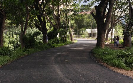 നേതാജി ബൈപാസിന് ശാപമോക്ഷം; ടാറിംഗ് അവസാന ഘട്ടത്തിൽ