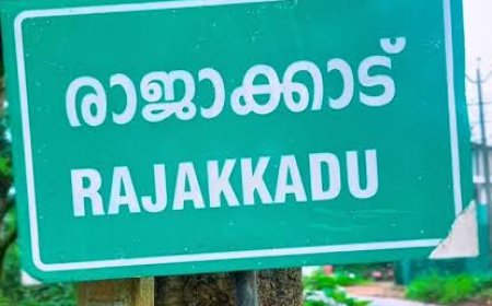 രാജാക്കാട് ടൗണിൽ ജൂൺ 1 മുതൽ ട്രാഫിക് പരിഷ്‌ക്കരണം