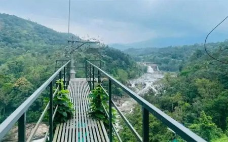 പോത്തുംപാറ അഡ്വഞ്ചർ പാർക്കിൽ അപകടം; ചെന്നൈ സ്വദേശിനിയുടെ വിരൽ അറ്റു