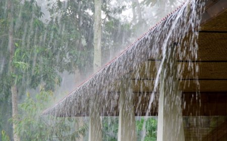 കാലവർഷം ലക്ഷദ്വീപിൽ എത്തി; ജൂൺ ആദ്യവാരത്തോടെ കേരളത്തിലെത്താൻ സാധ്യത
