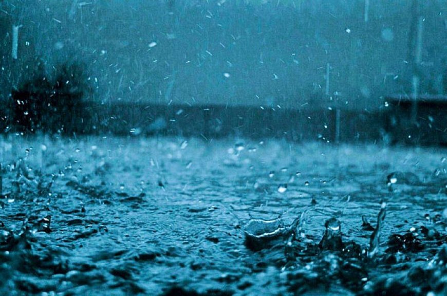 സംസ്ഥാനത്ത് ഇടിമിന്നലോടുകൂടിയ മഴ തുടരും; 7 ജില്ലകളിൽ ഇന്ന് യെല്ലോ അലർട്ട്