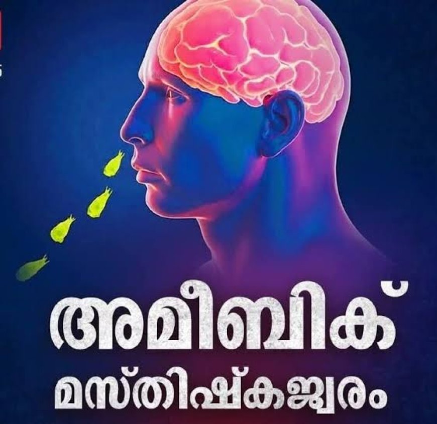 അമീബിക് മസ്തിഷ്ക ജ്വരം : ഇരട്ടയാറിൽ അതിഥി തൊഴിലാളികൾക്ക് മെഡിക്കൽ ക്യാമ്പും ബോധവത്കരണ ക്ലാസും