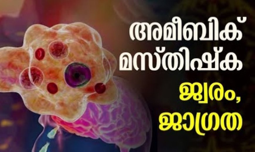 ഇരട്ടയാറിൽ അമീബിക് മസ്തിഷ്ക ജ്വരം റിപ്പോർട്ട് ചെയ്ത സാഹചര്യത്തിൽ ജാഗ്രത നിർദ്ദേശം നൽകി ആരോഗ്യവകുപ്പ്